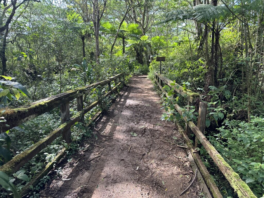 Moalepe Trail