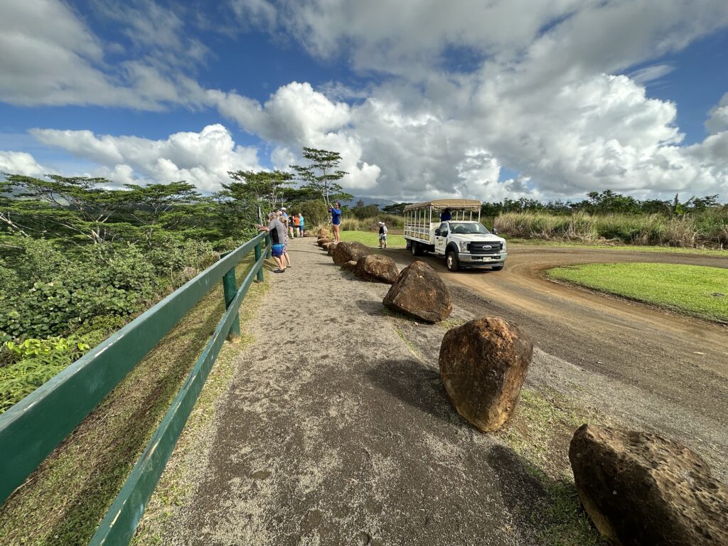 Mount Waialeale Overlook