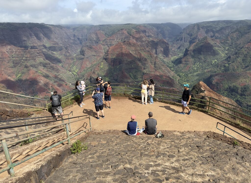 Waimea Canyon Private Tour