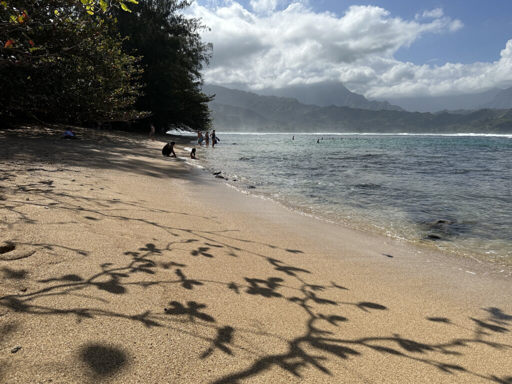 Puu Poa Beach Kauai