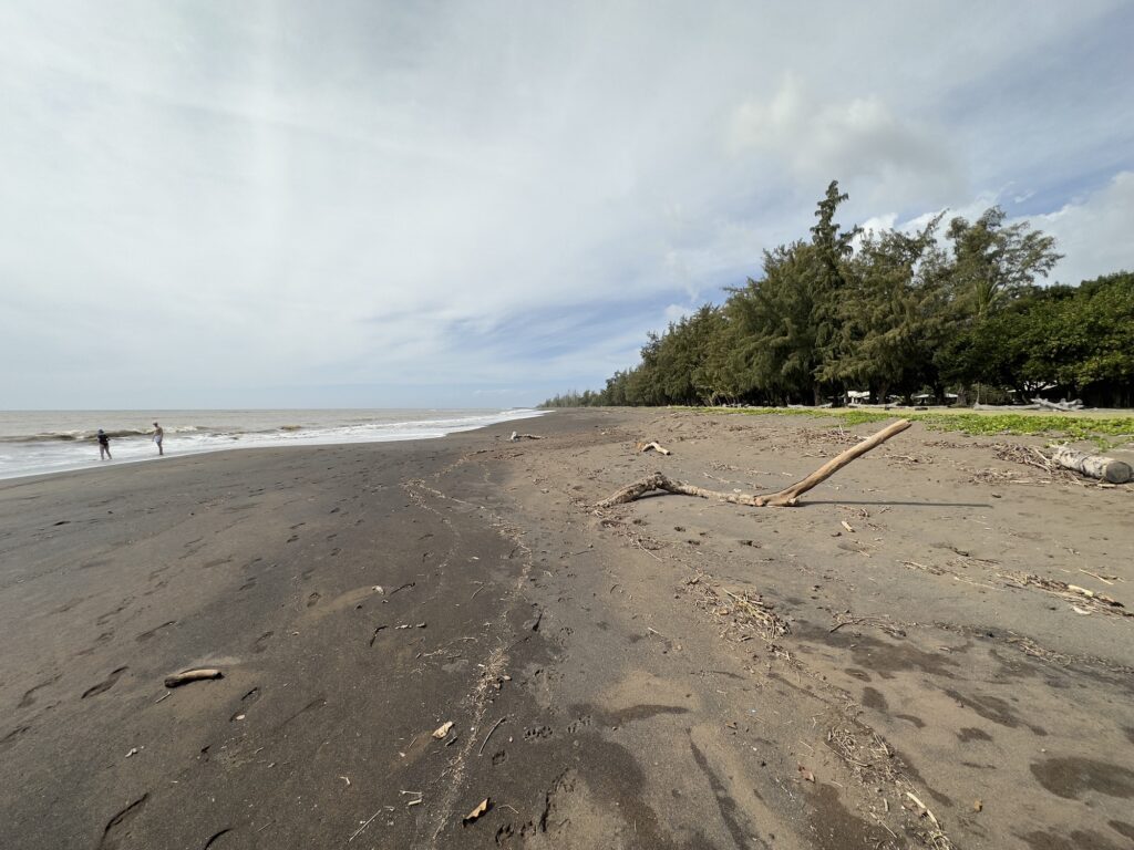 Waimea Driftwood Beach