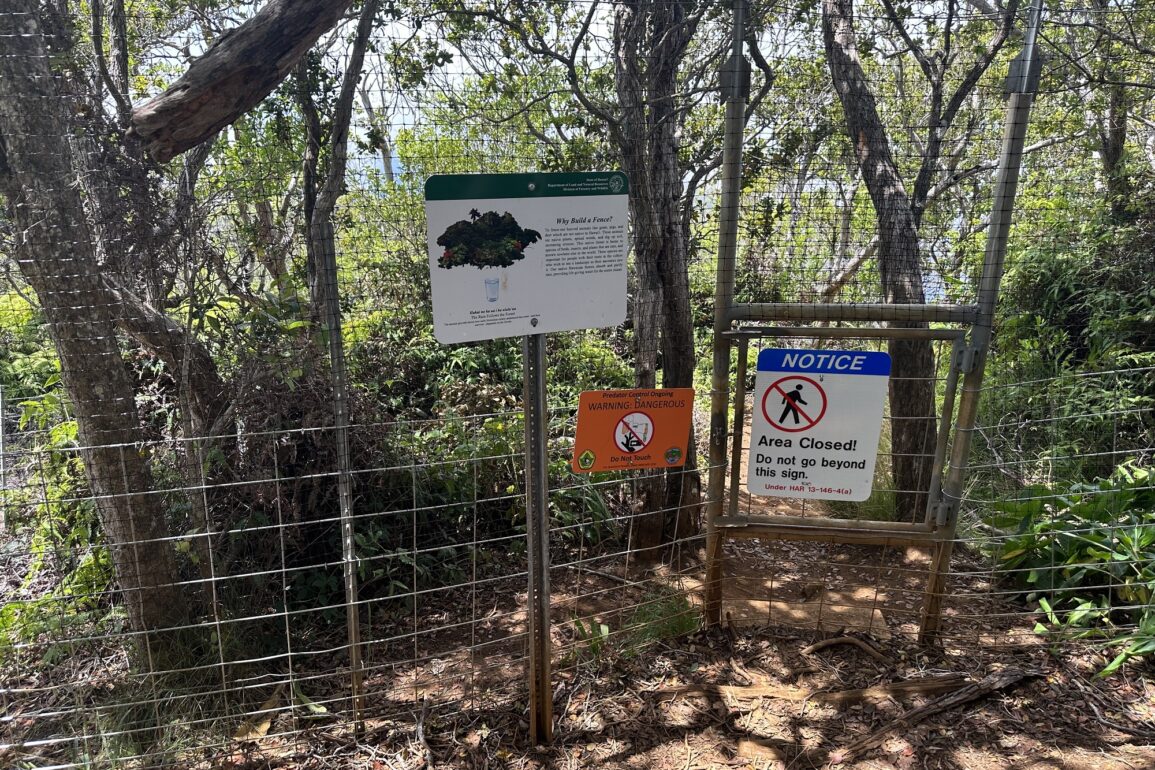 Kalepa Ridge Trail Fence