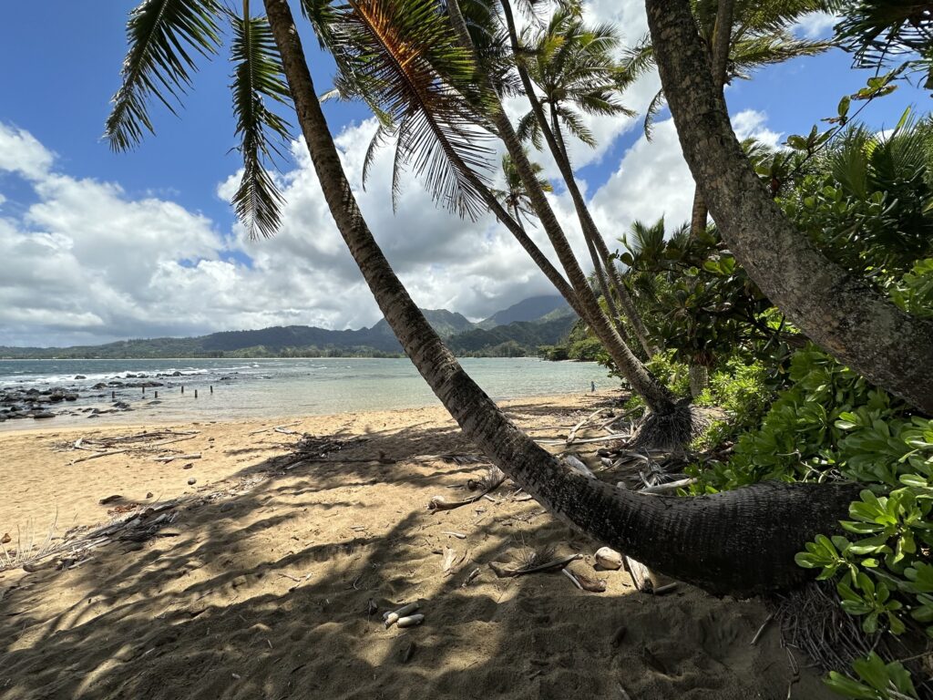 Waikoko Beach Kauai