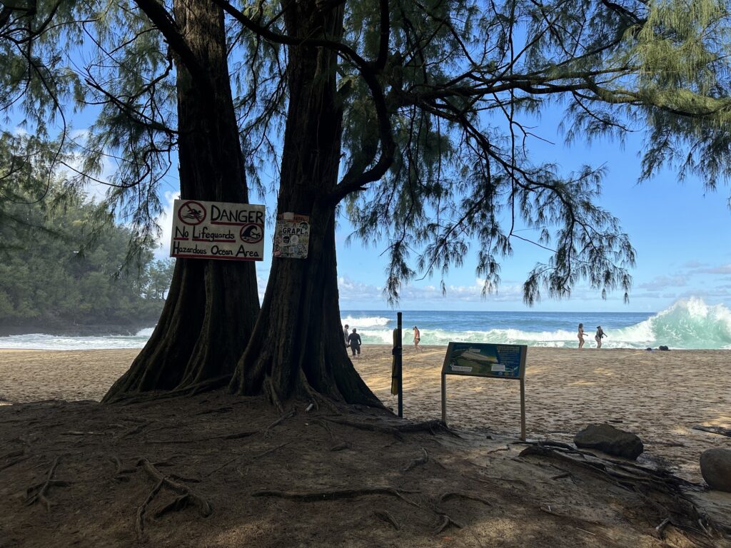 Lumahai Beach Death