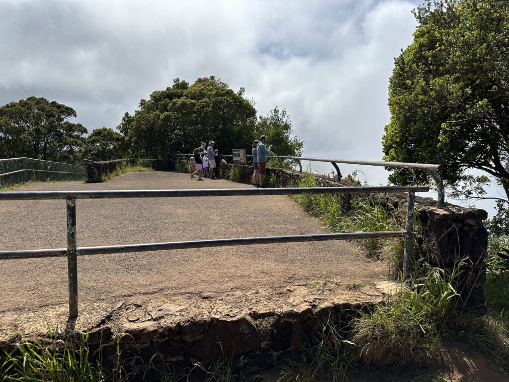 Puu O Kila Lookout