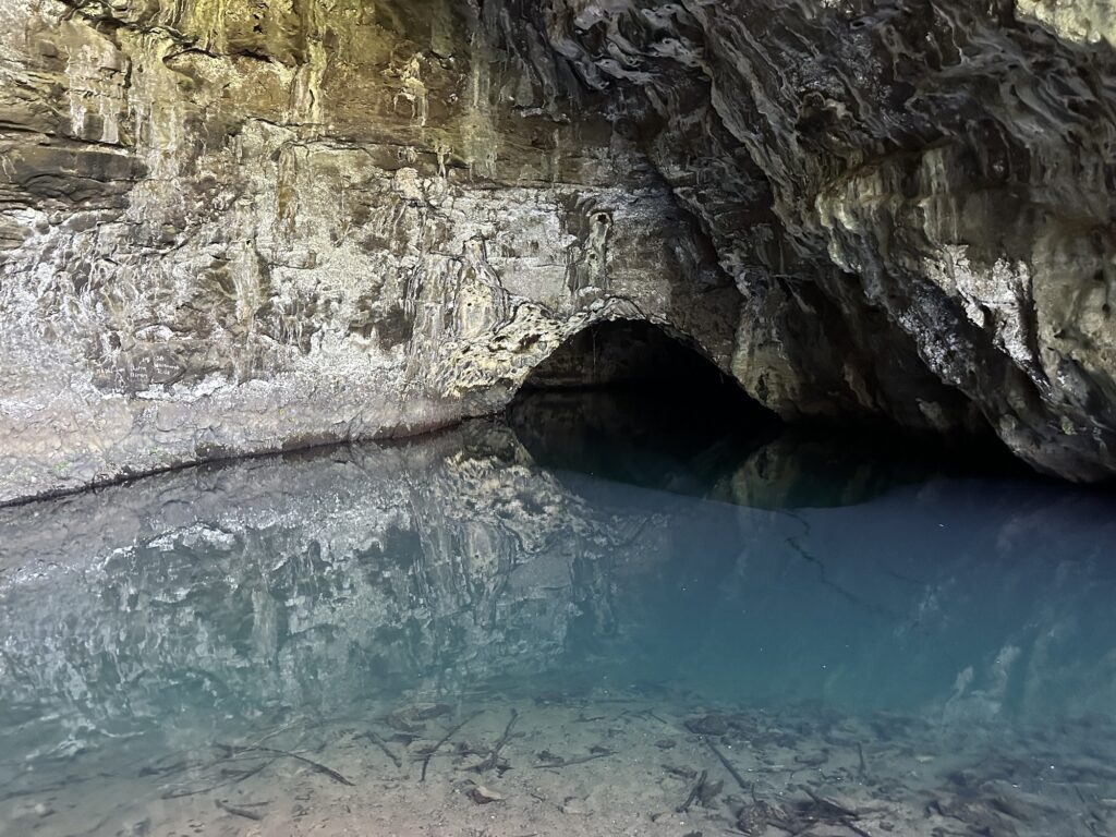 Waikanaloa Wet Cave