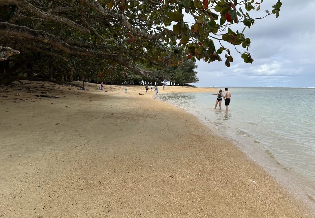 Anini Beach