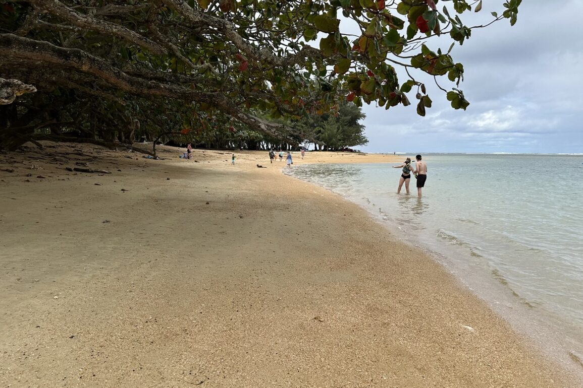 Anini Beach