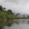 Kayak Rescue Hanalei River