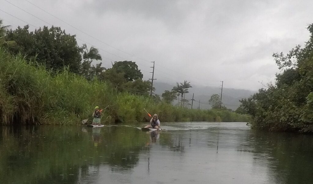 Kayak Rescue Hanalei River