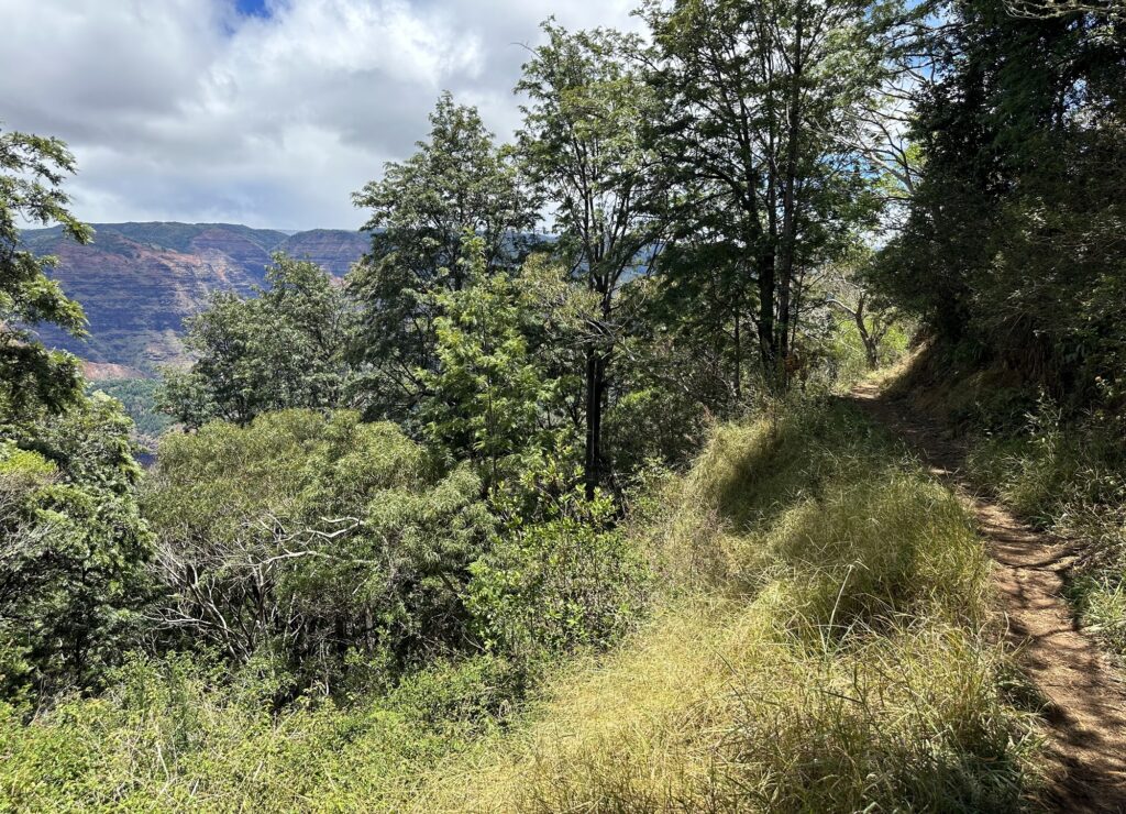 Kukui Trail