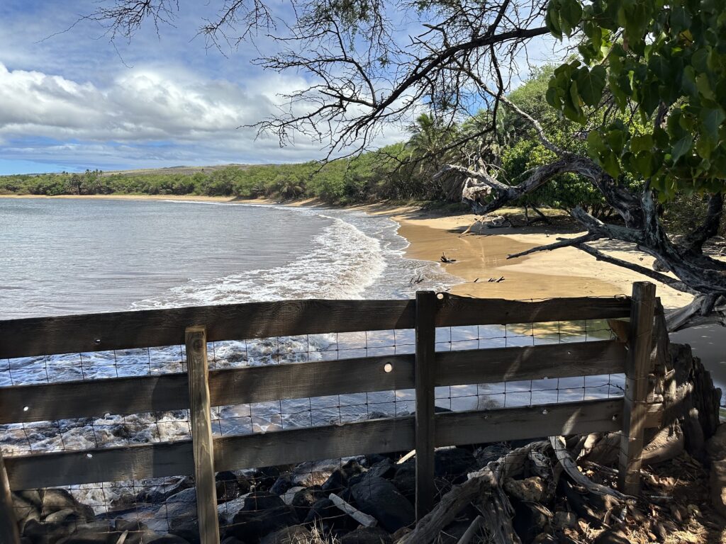 Pakala Beach