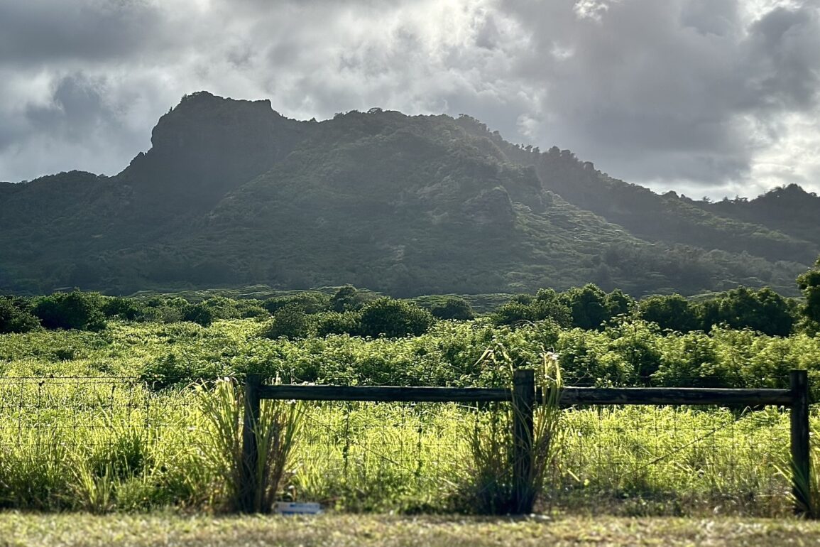 Hiker Rescued Sleeping Giant Trail