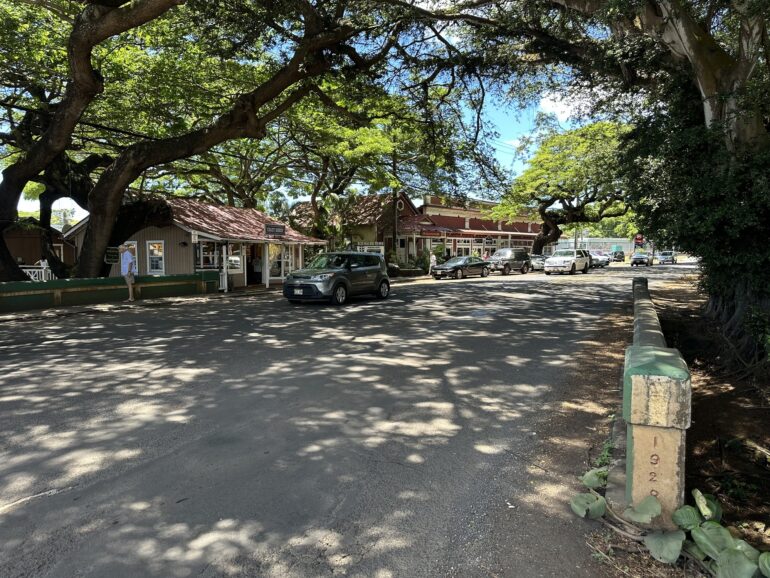 Kauai Tree Tunnel: Gateway to Paradise