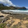 Haula Beach Kauai