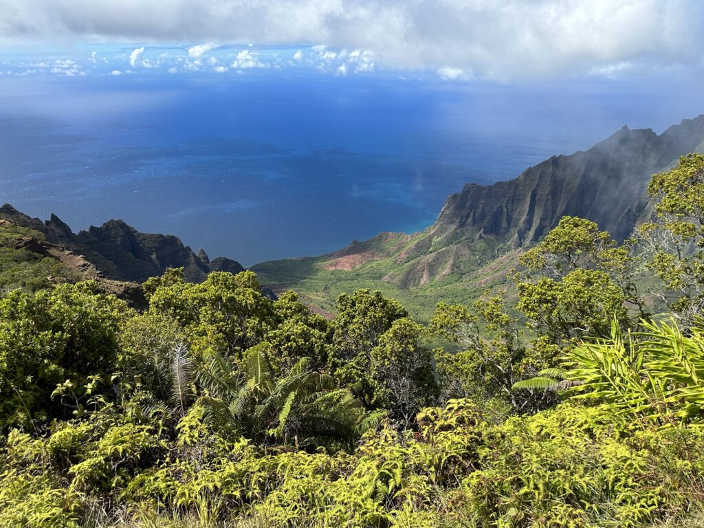 Kalalau Lookout