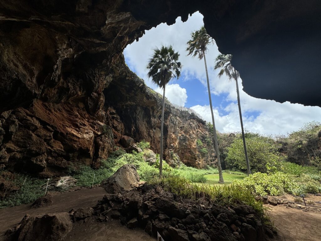 Makauwahi Cave Reserve Closing