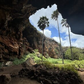 Makauwahi Cave Reserve Closing