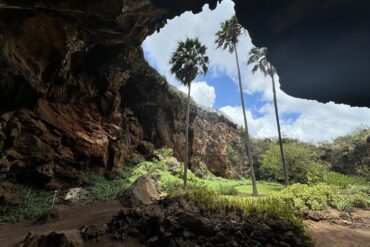 Makauwahi Cave Reserve Closing