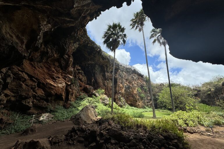 Makauwahi Cave Reserve Closing