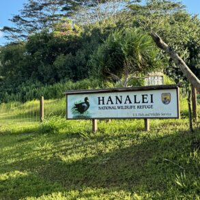 Hanalei National Wildlife Refuge