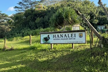 Hanalei National Wildlife Refuge