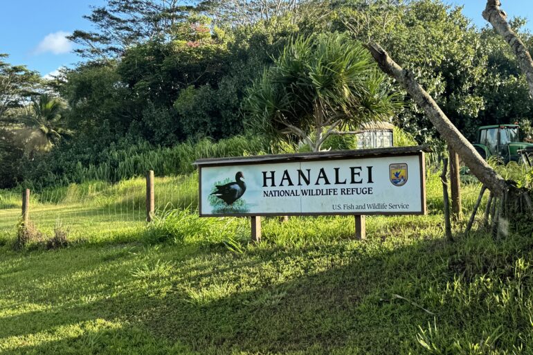 Hanalei National Wildlife Refuge