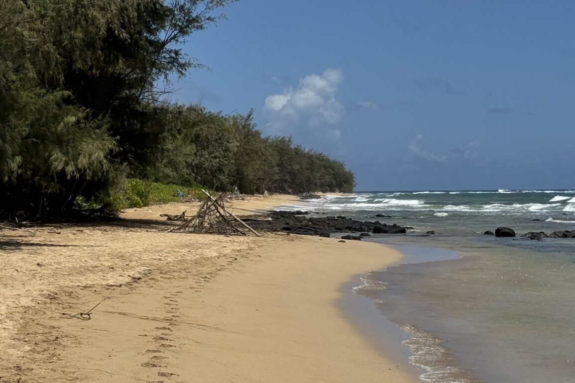 Gillins Beach Kauai