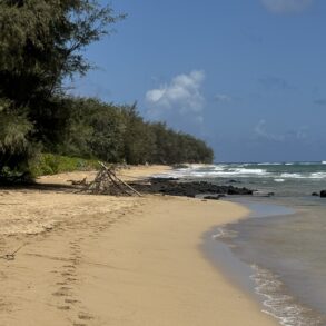 Gillins Beach Kauai