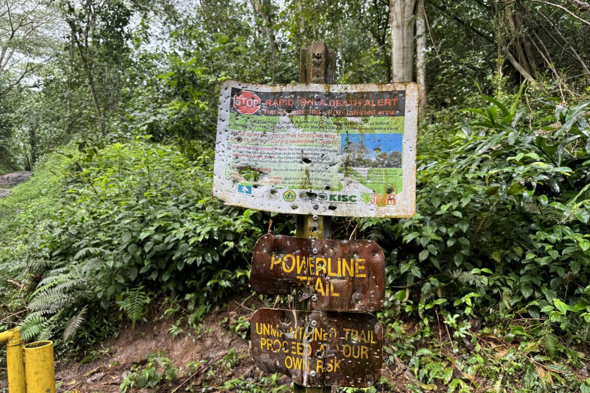 Powerline Trail Kauai East