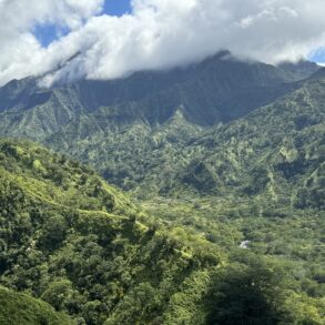 Powerline Trail Kauai North