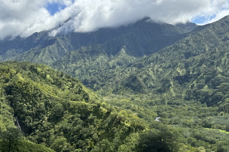 Powerline Trail Kauai North