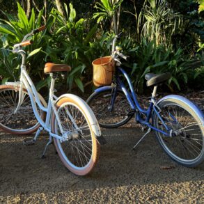 Kauai Bike Safety