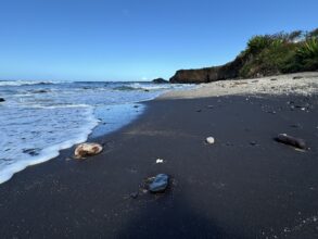 Glass Beach Kauai