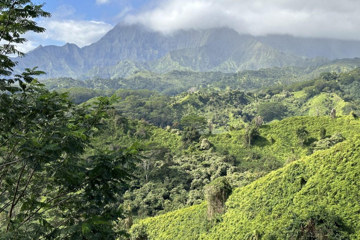 Kuilau Ridge Trail Kauai