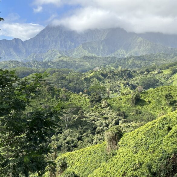 Kuilau Ridge Trail Kauai