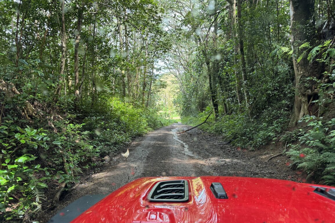 Loop Road Reopens