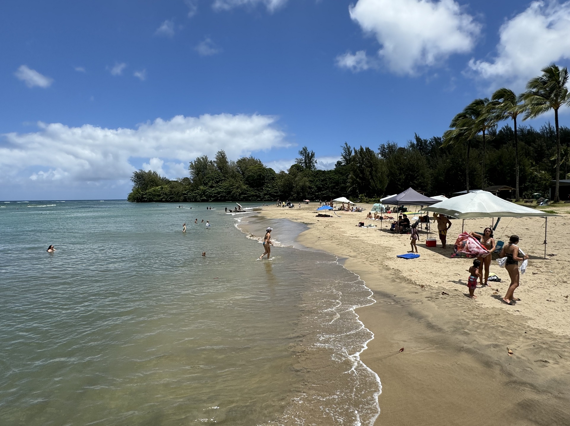 Hanalei Beach Kauai