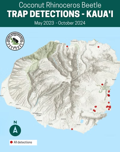 CRB Detections Kauai