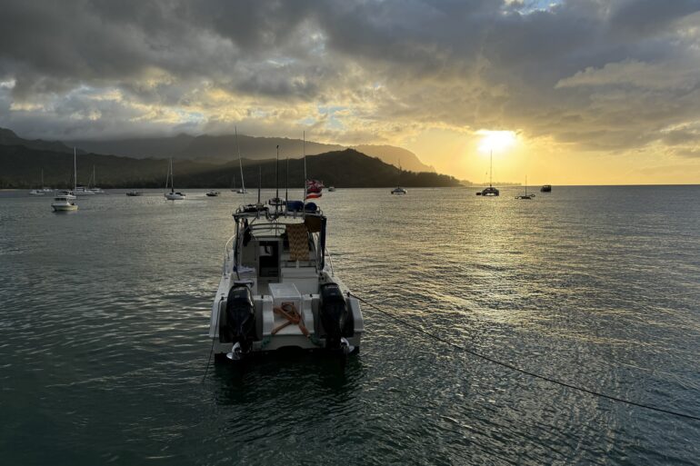 Hanalei Bay Bill
