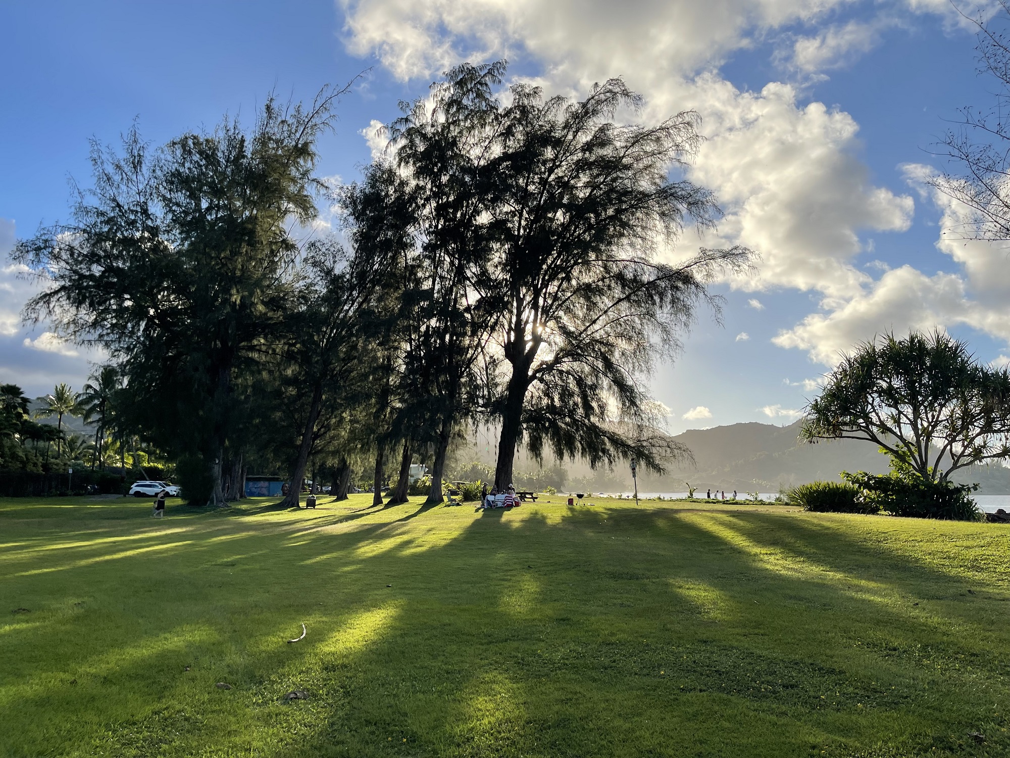 Waioli Beach Park