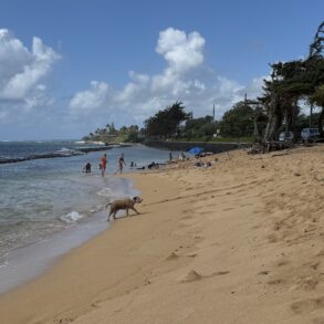 Fuji Beach Kauai